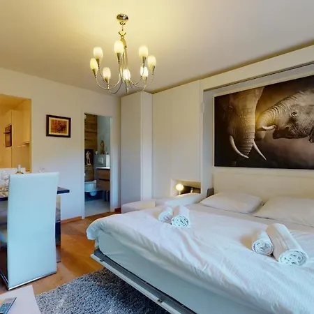 Studio Ideally Located In The Center Of Apartment